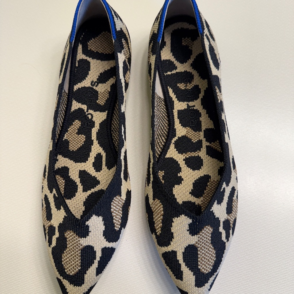 Rothy's pointed flat